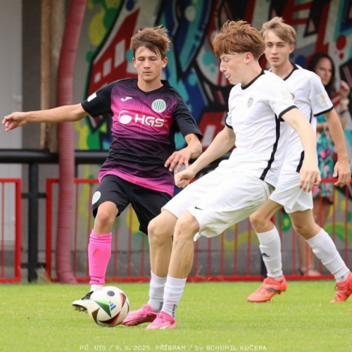 sp.pribram-sh19 (24).jpg