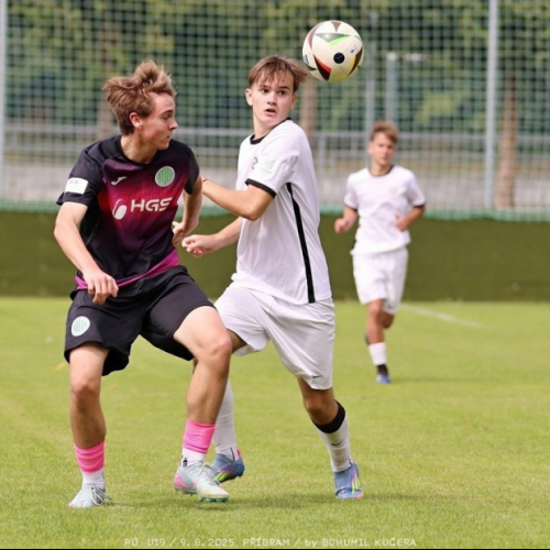sp.pribram-sh19 (42).jpg