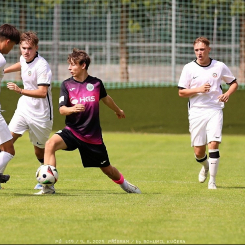 sp.pribram-sh19 (51).jpg