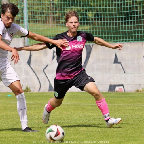sp.pribram-sh19 (54).jpg