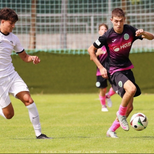 sp.pribram-sh19 (62).jpg