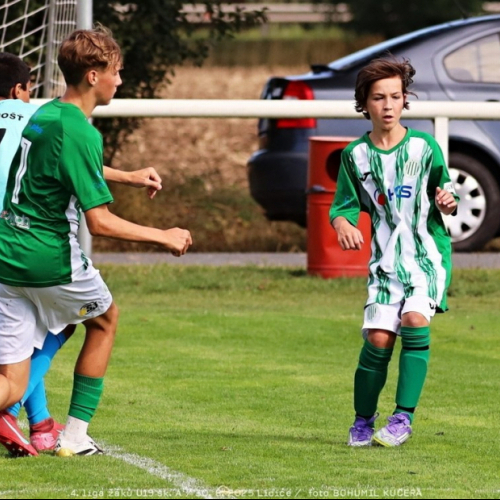 sh15-unhost (15).jpg