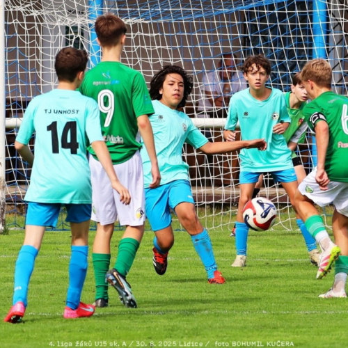 sh15-unhost (14).jpg