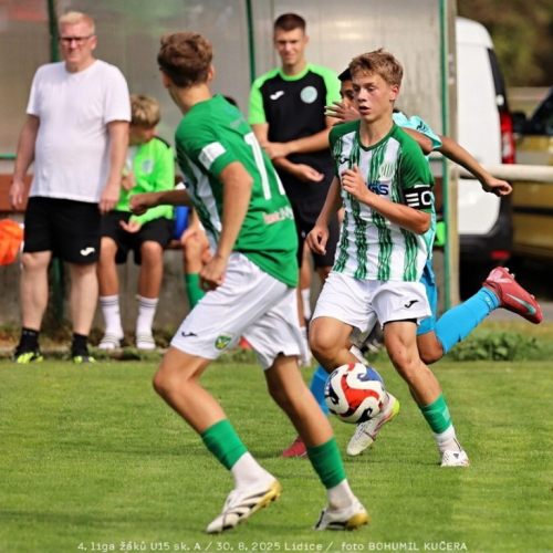 sh15-unhost (16).jpg