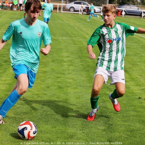 sh15-unhost (20).jpg