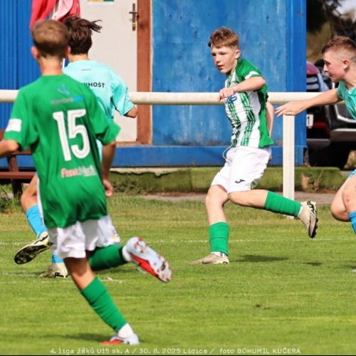 sh15-unhost (25).jpg