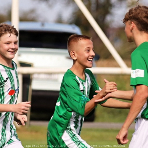 sh15-unhost (27).jpg