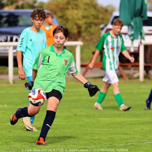 sh15-unhost (34).jpg