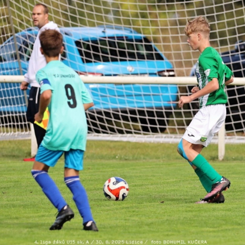 sh15-unhost (39).jpg