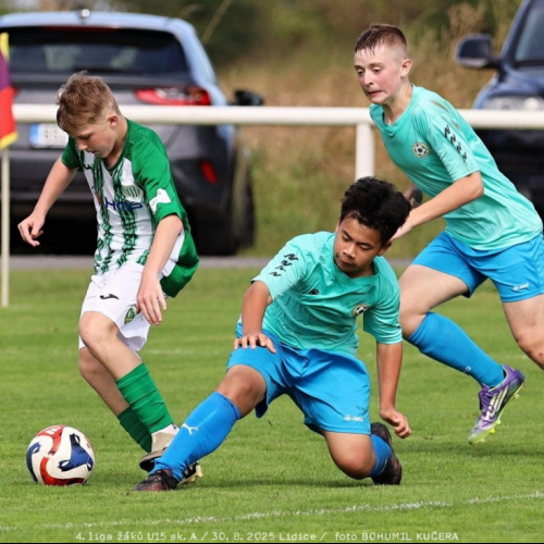 sh15-unhost (40).jpg