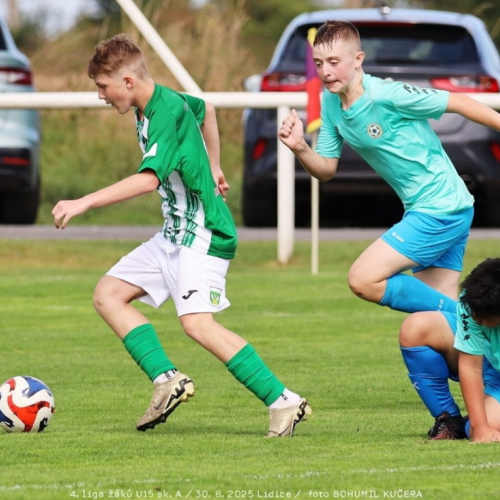 sh15-unhost (41).jpg