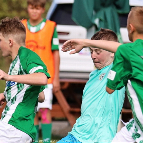 sh15-unhost (42).jpg