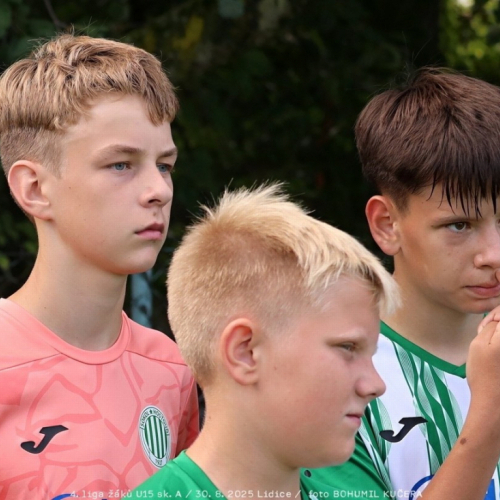 sh15-unhost (47).jpg