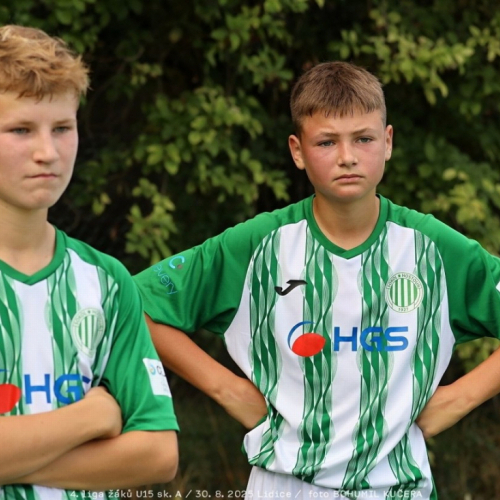 sh15-unhost (49).jpg