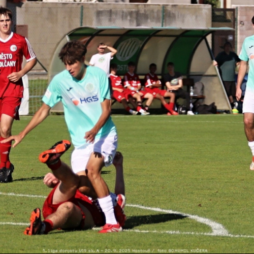 sh-sedlčany (7).jpg