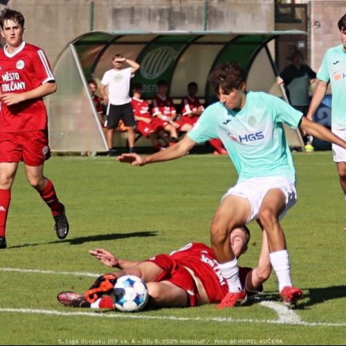 sh-sedlčany (6).jpg