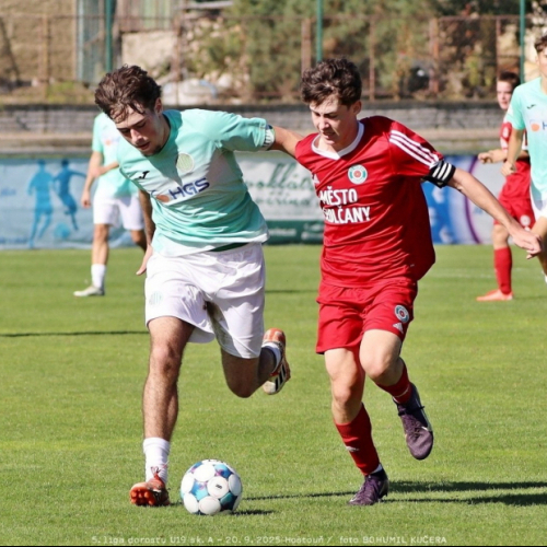 sh-sedlčany (23).jpg