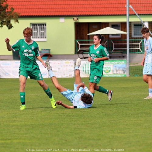 sh-sedlcany (21).jpg