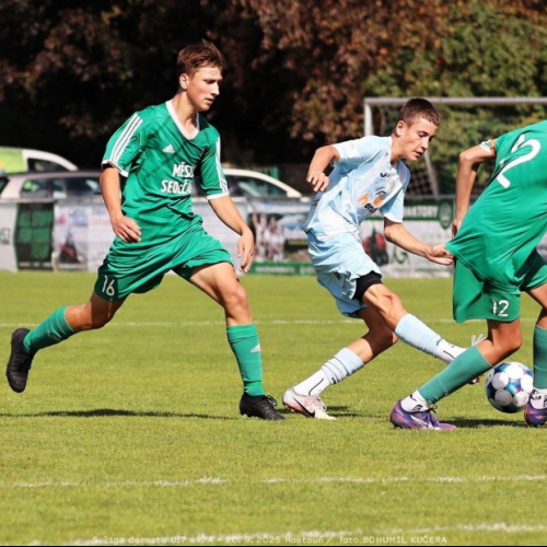 sh-sedlcany (30).jpg