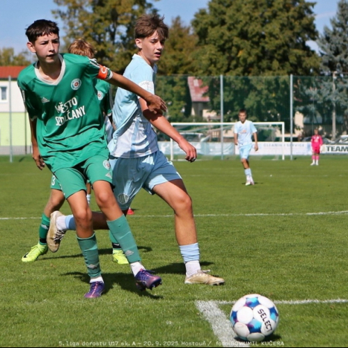 sh-sedlcany (34).jpg