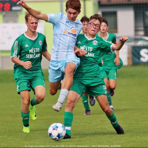 sh-sedlcany (37).jpg