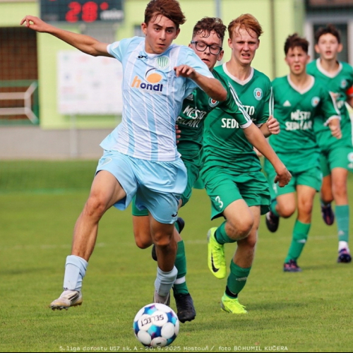 sh-sedlcany (38).jpg