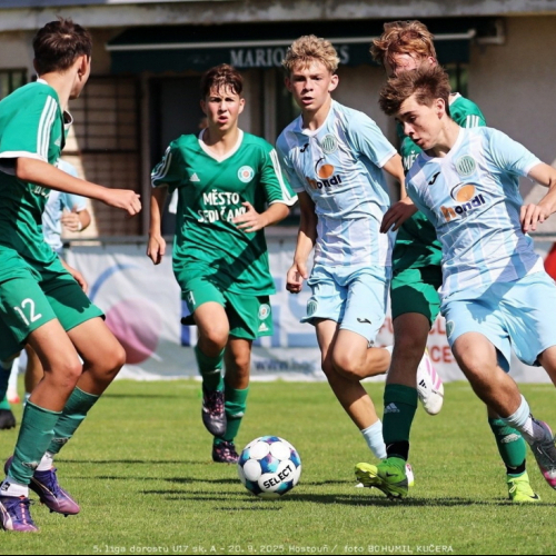 sh-sedlcany (45).jpg