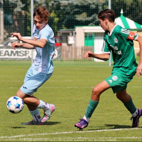 sh-sedlcany (46).jpg