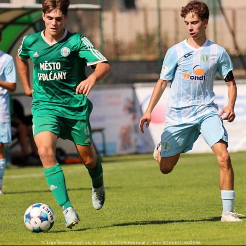 sh-sedlcany (57).jpg