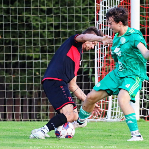 tuchlovice-sh (8).jpg