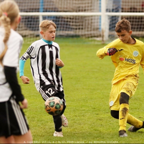 sh-veltrusy (10).jpg