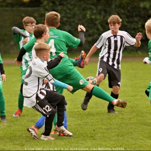 sh-veltrusy (13).jpg