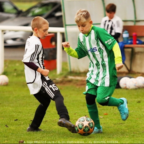 sh-veltrusy (14).jpg