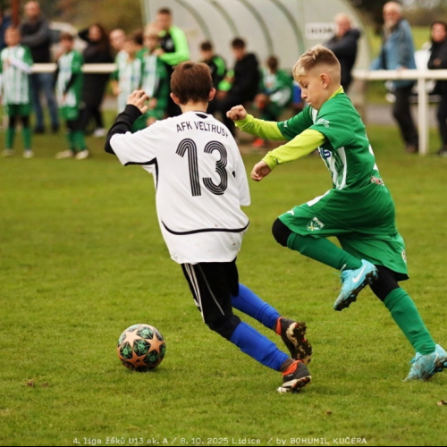 sh-veltrusy (15).jpg