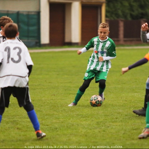 sh-veltrusy (18).jpg