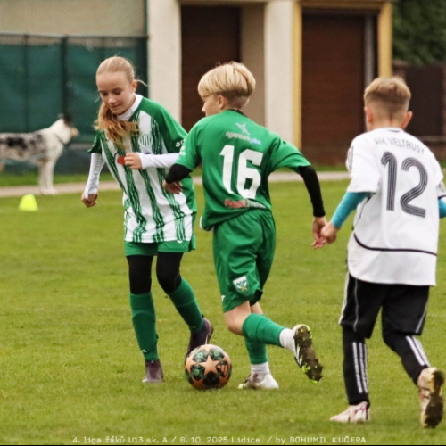 sh-veltrusy (21).jpg