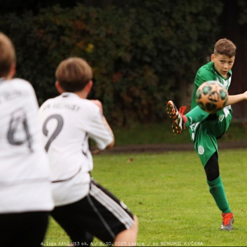 sh-veltrusy (23).jpg