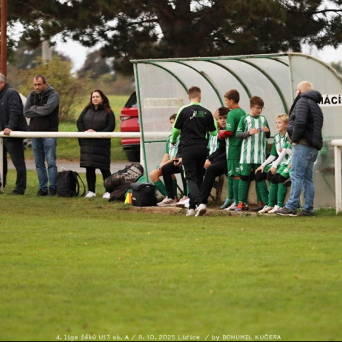 sh-veltrusy (25).jpg