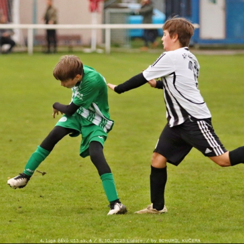 sh-veltrusy (27).jpg