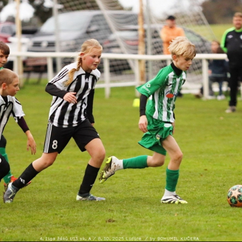 sh-veltrusy (26).jpg