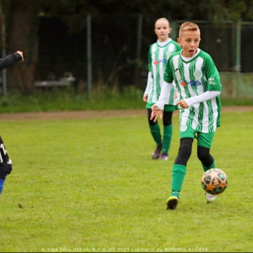 sh-veltrusy (28).jpg