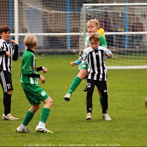 sh-veltrusy (29).jpg