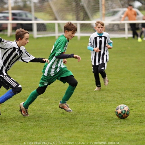 sh-veltrusy (30).jpg