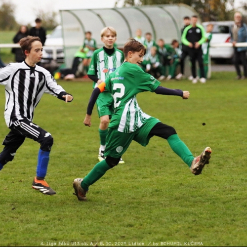 sh-veltrusy (31).jpg