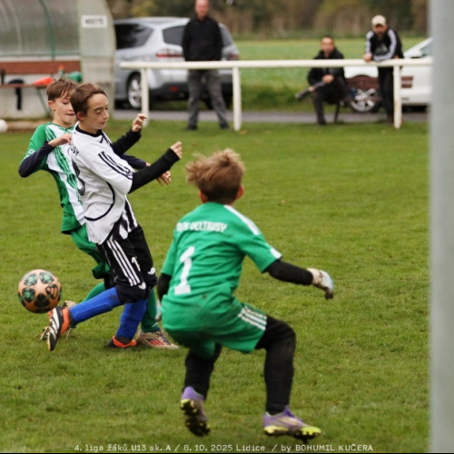 sh-veltrusy (32).jpg