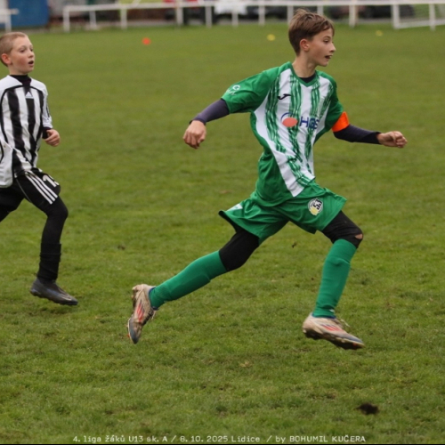 sh-veltrusy (34).jpg