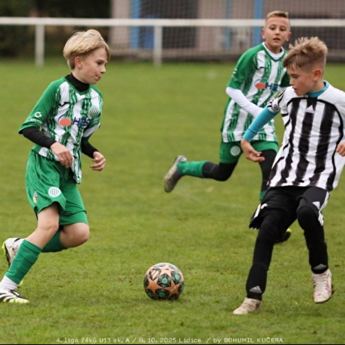 sh-veltrusy (35).jpg