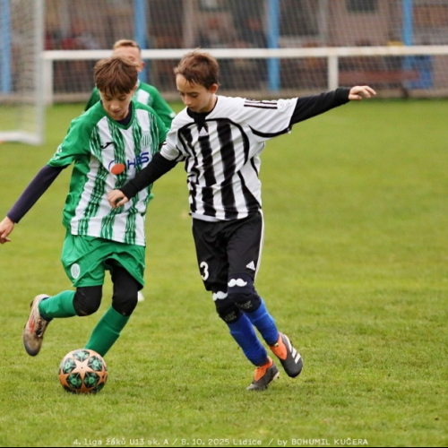 sh-veltrusy (37).jpg