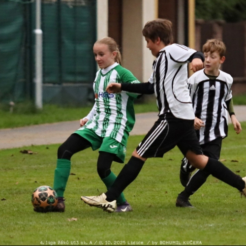 sh-veltrusy (36).jpg