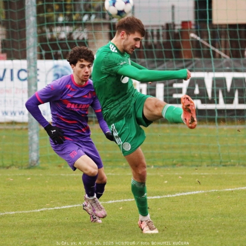 sh-bohemians (1).jpg